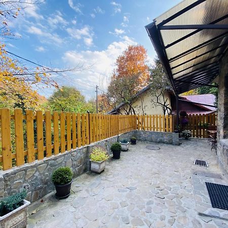 Apartment Carol Private Yard With Barbeque And Parking Sinaia Exterior foto