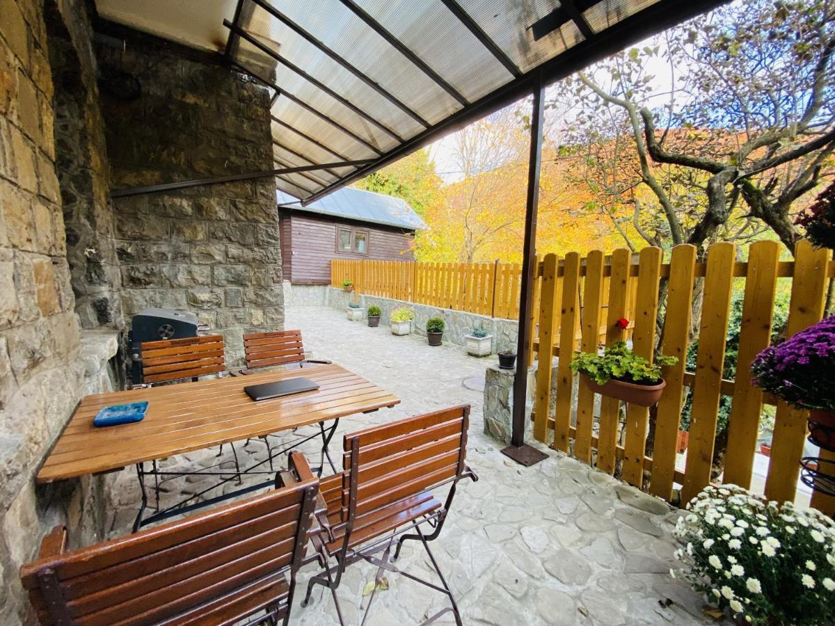 Apartment Carol Private Yard With Barbeque And Parking Sinaia Exterior foto